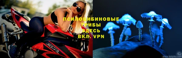 гидропоника Балахна
