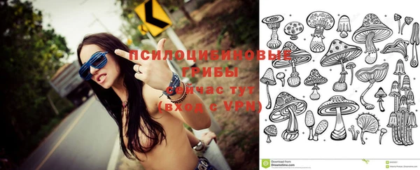 гидропоника Балахна
