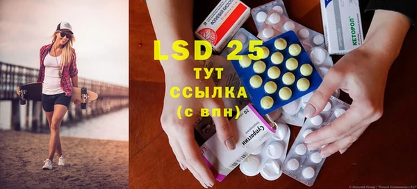 ГАЛЛЮЦИНОГЕННЫЕ ГРИБЫ Баксан