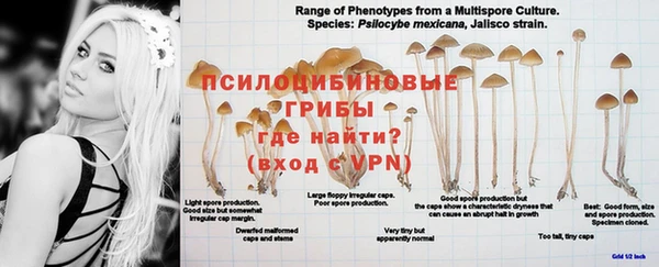 MDMA Premium VHQ Балабаново